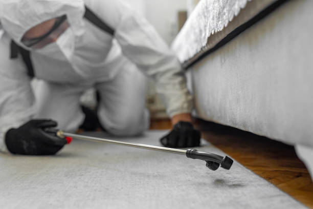 Professional Termite Control technician working in Archbold, OH