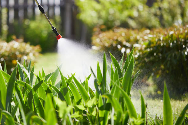 24/7 Emergency Termite Control experts in Archbold, OH