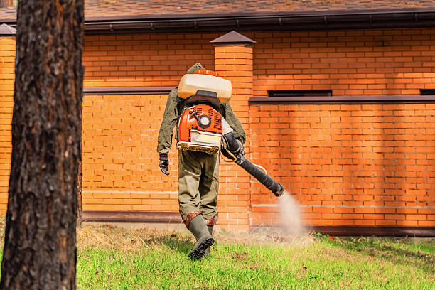Top rated local Termite Control specialists in Archbold, OH